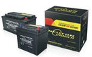 Neuton Power 50B19L Car Battery